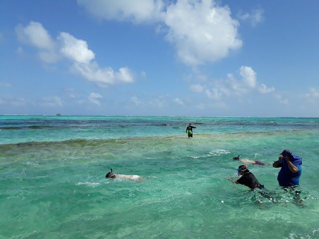 Acuario San Andrés Islas